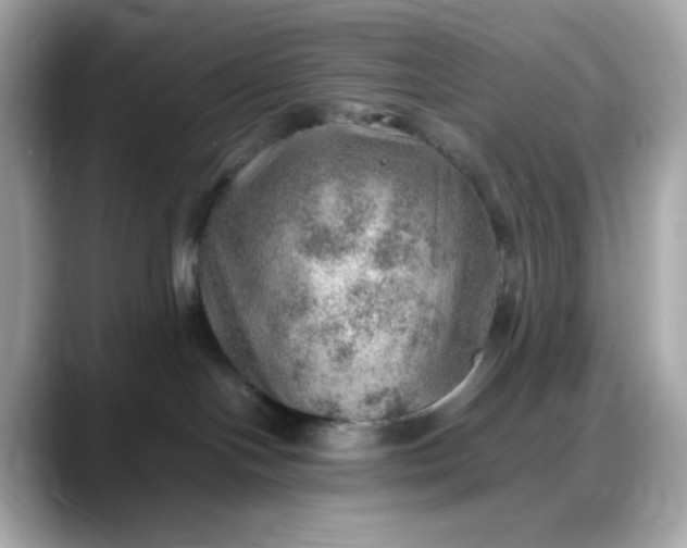 X0000088370094200706051049