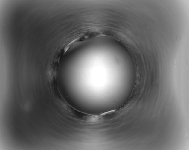X0000088370096200706051049