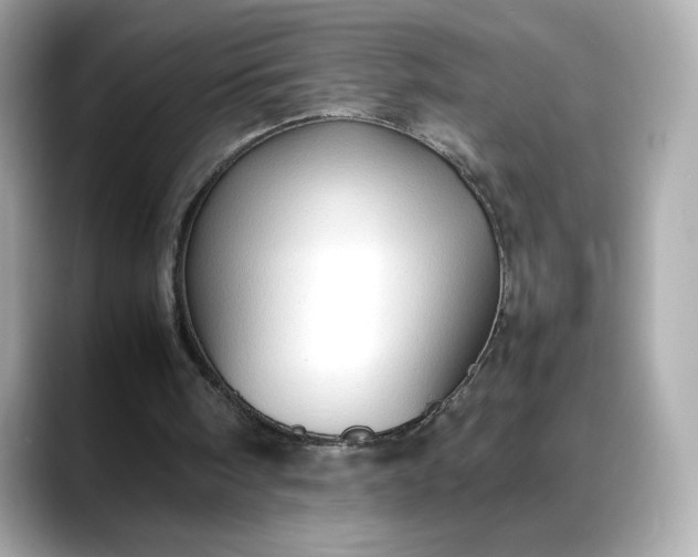 X0000088370098200706051048