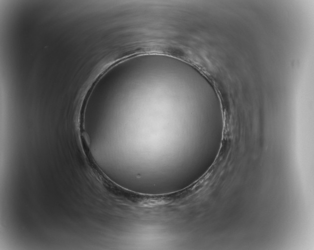 X0000088370099200706051048