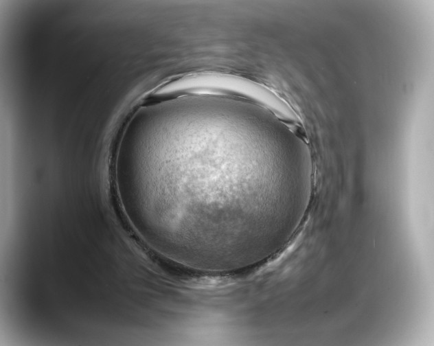 X0000088370101200706051048