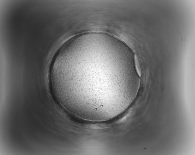 X0000088370103200706051048