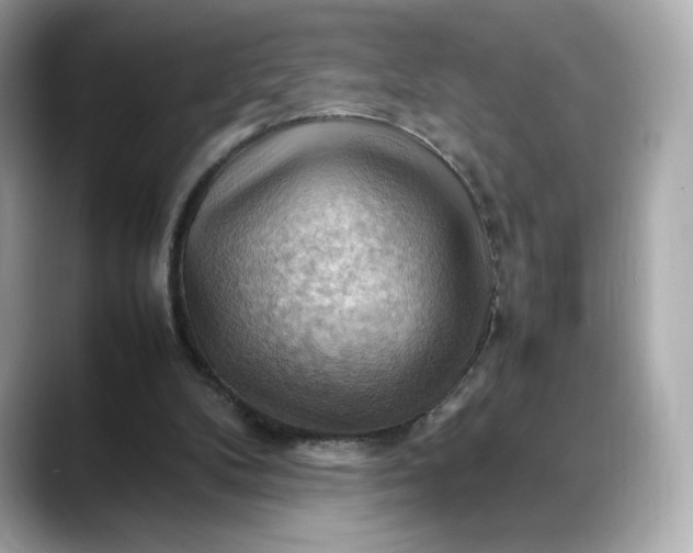 X0000088370104200706051048