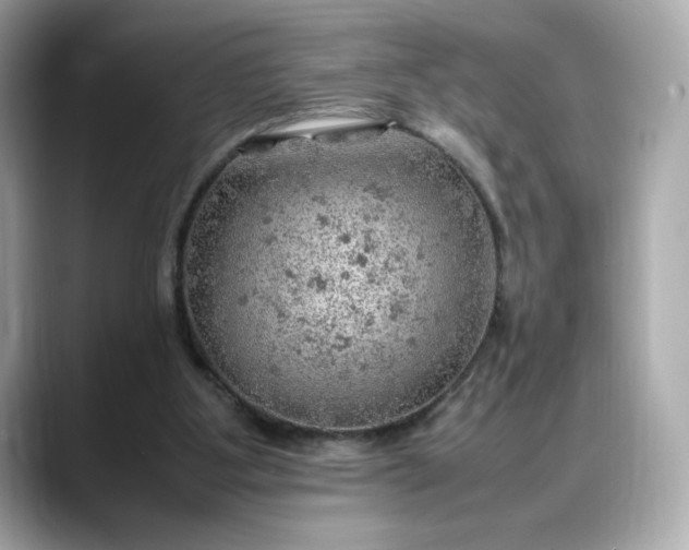 X0000088370107200706051048