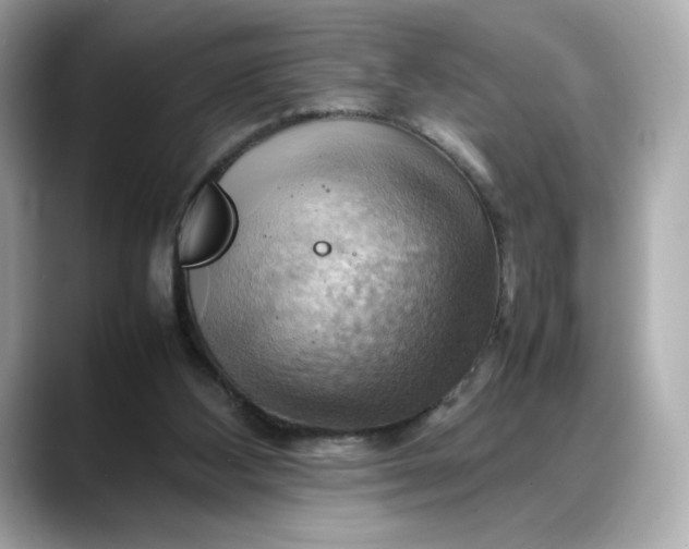 X0000088370108200706051048