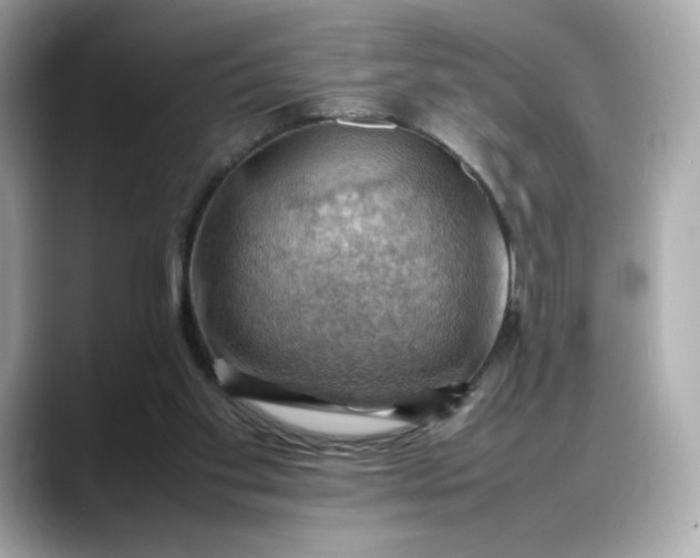 X0000088370109200706051048