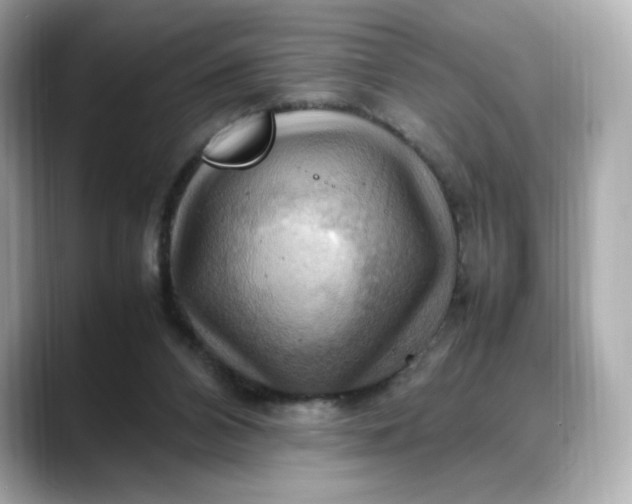 X0000088370112200706051048