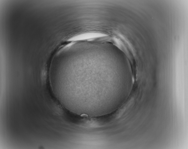X0000088370113200706051048