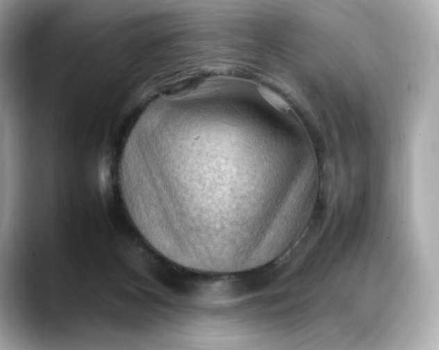 X0000088370116200706051048