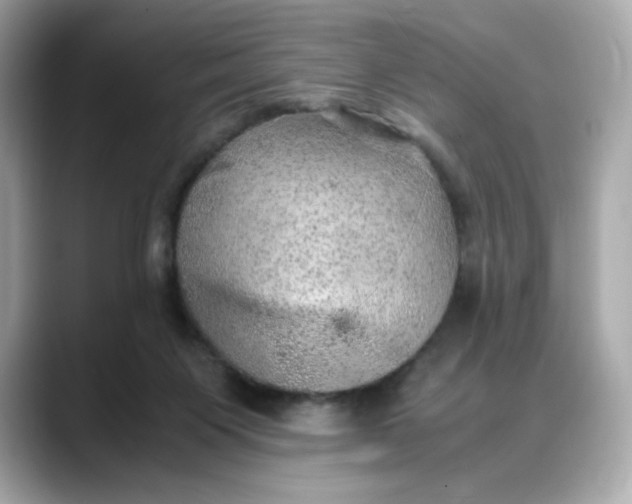 X0000088370119200706051048
