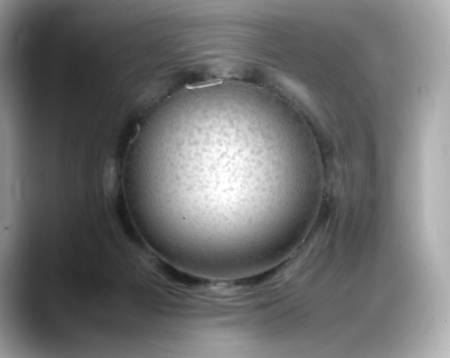X0000088370121200706051048