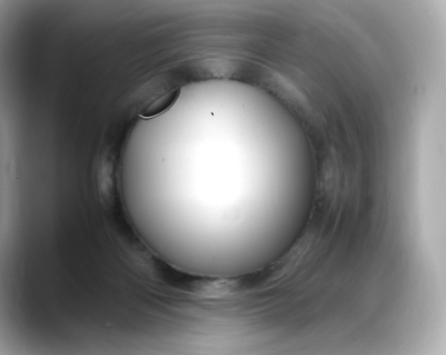 X0000088370122200706051048