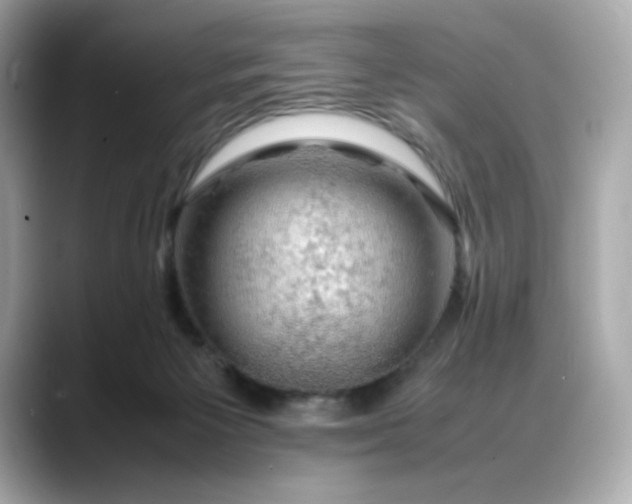X0000088370125200706051048