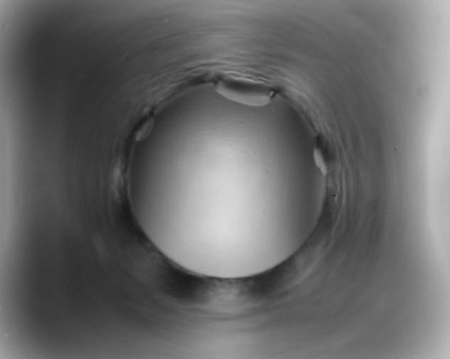 X0000088370127200706051048
