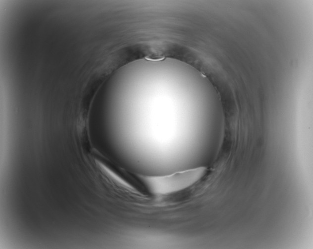 X0000088370129200706051048