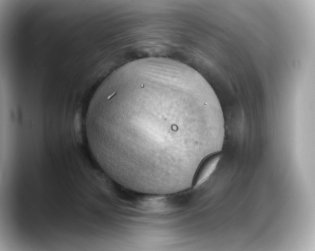 X0000088370132200706051048