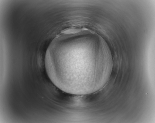 X0000088370136200706051048
