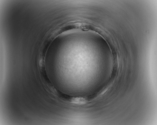 X0000088370137200706051048