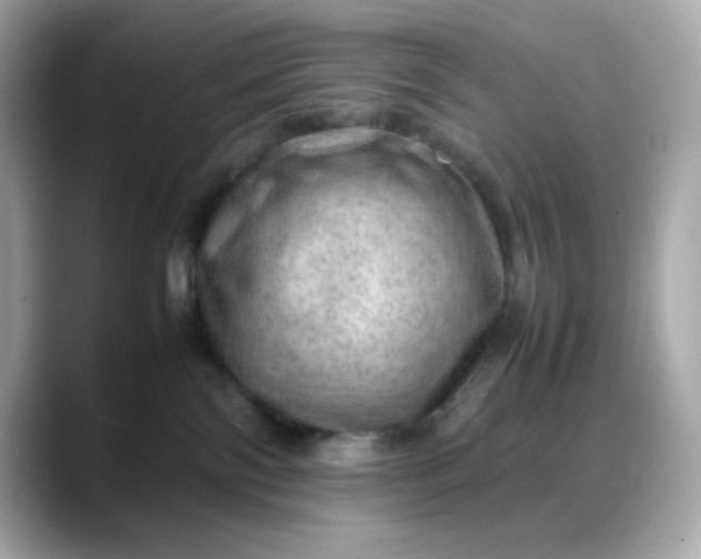 X0000088370138200706051048