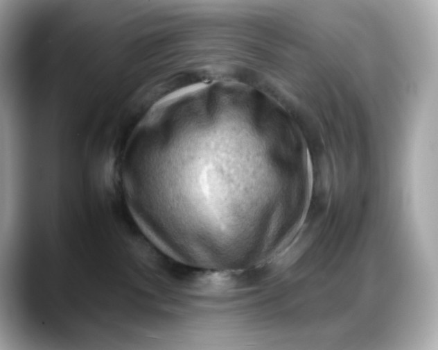 X0000088370140200706051048