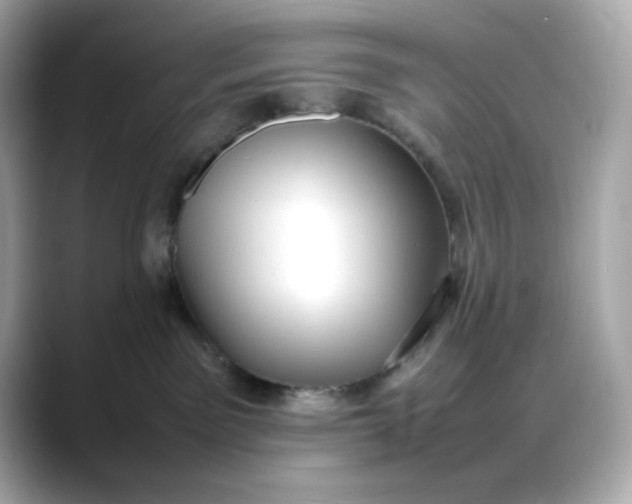 X0000088370141200706051048