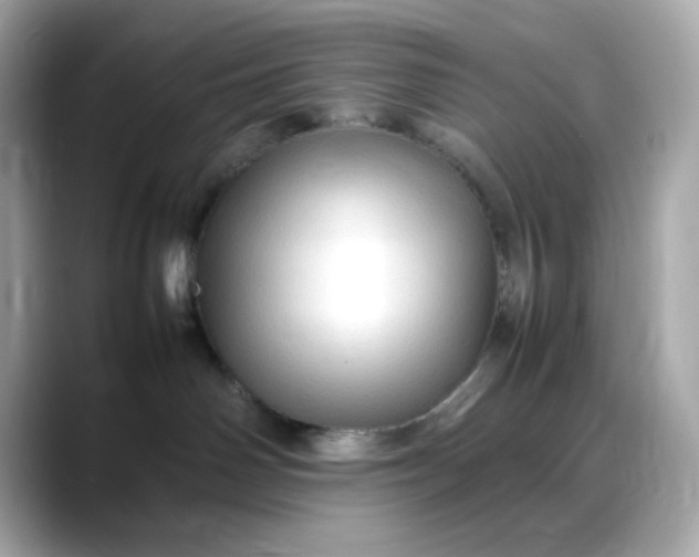 X0000088370142200706051048