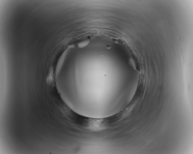 X0000088370143200706051048