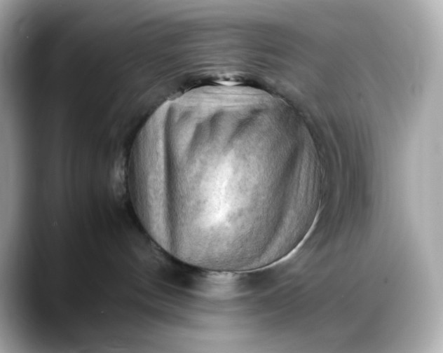 X0000088370144200706051048