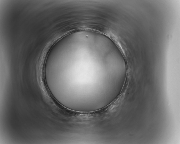 X0000088370145200706051047