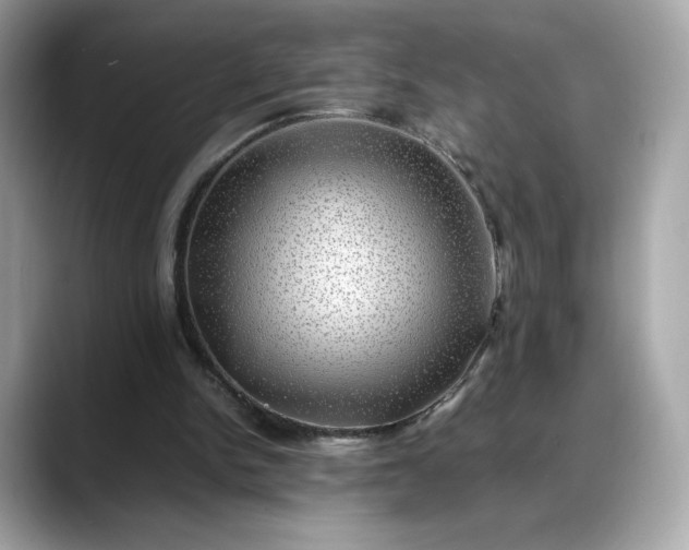X0000088370150200706051047