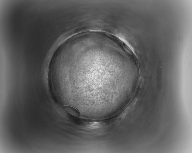 X0000088370151200706051047