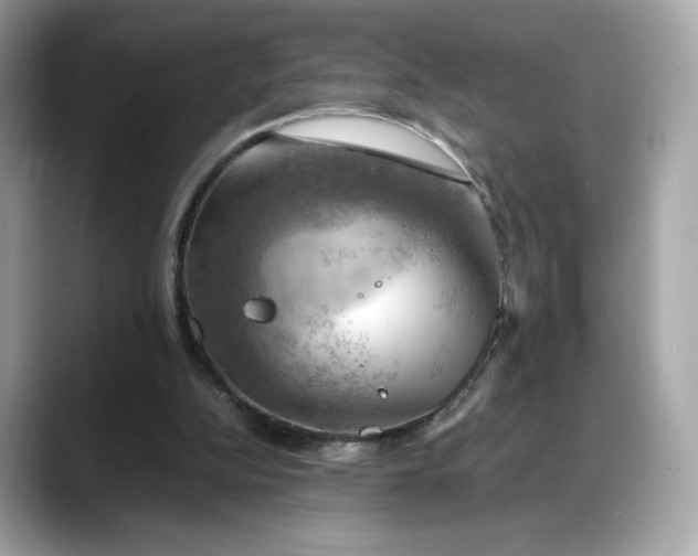 X0000088370152200706051047