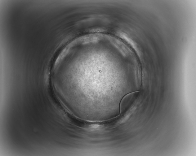 X0000088370153200706051047