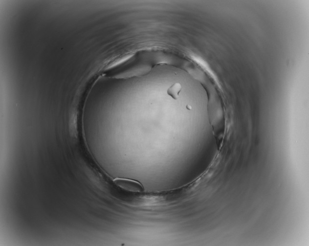 X0000088370154200706051047