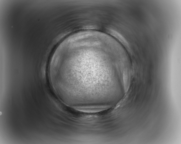 X0000088370155200706051047