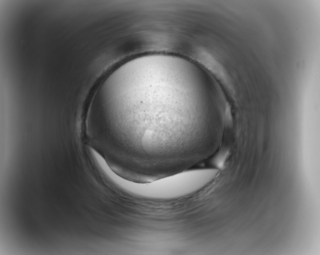 X0000088370156200706051047