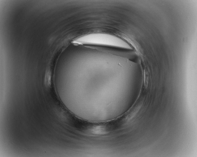 X0000088370157200706051047