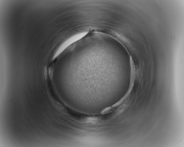 X0000088370158200706051047
