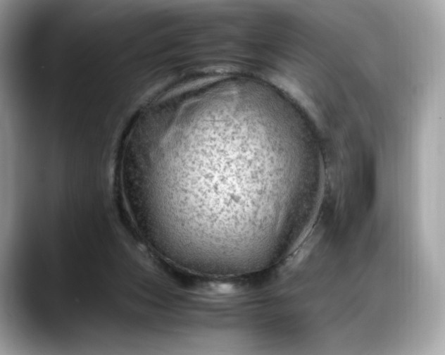 X0000088370159200706051047