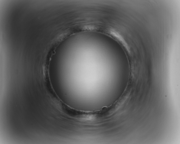 X0000088370161200706051048