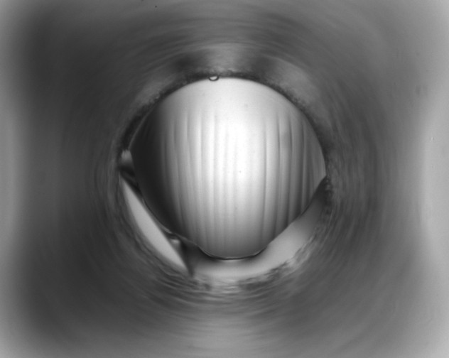 X0000088370164200706051048