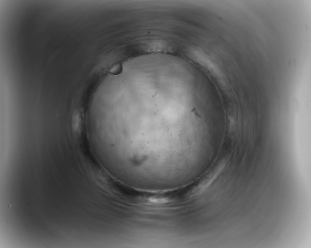 X0000088370165200706051048