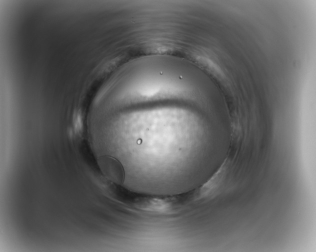 X0000088370166200706051048