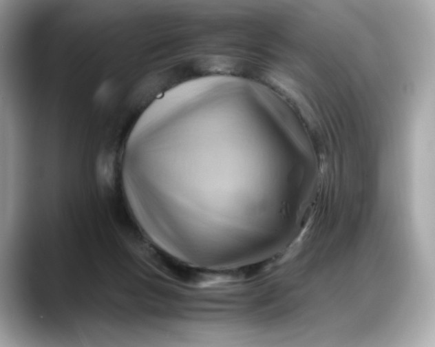 X0000088370167200706051048