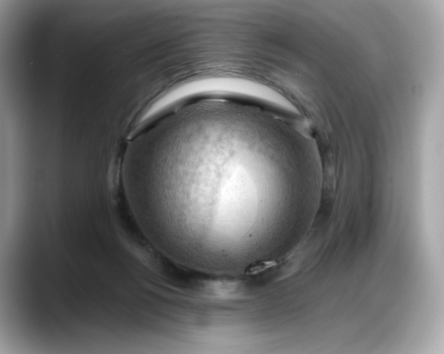 X0000088370168200706051048