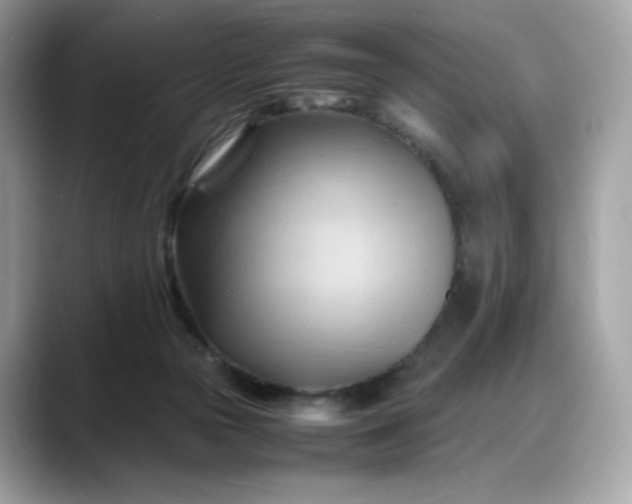 X0000088370169200706051048