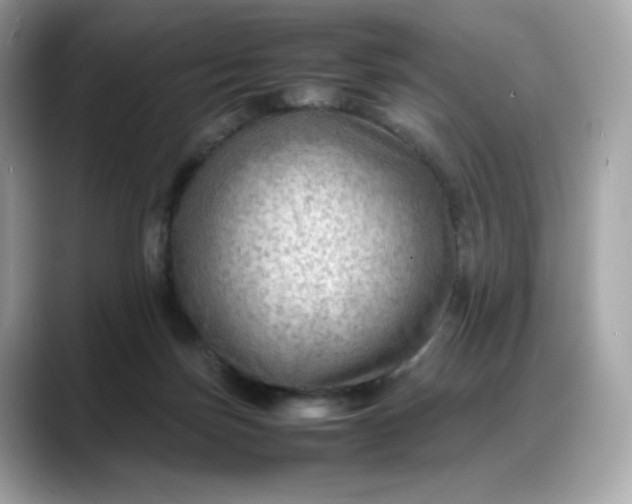 X0000088370171200706051048