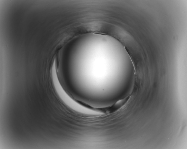X0000088370172200706051048