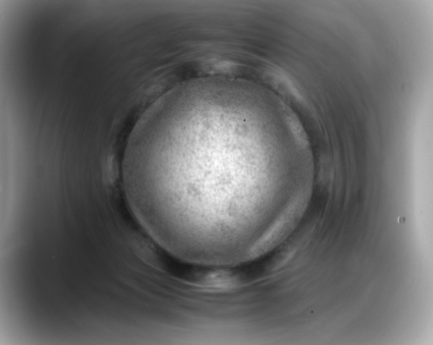 X0000088370173200706051048