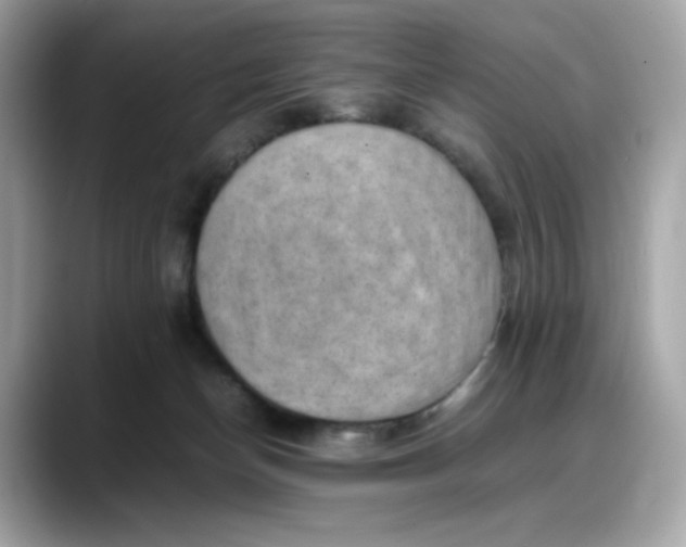 X0000088370174200706051048